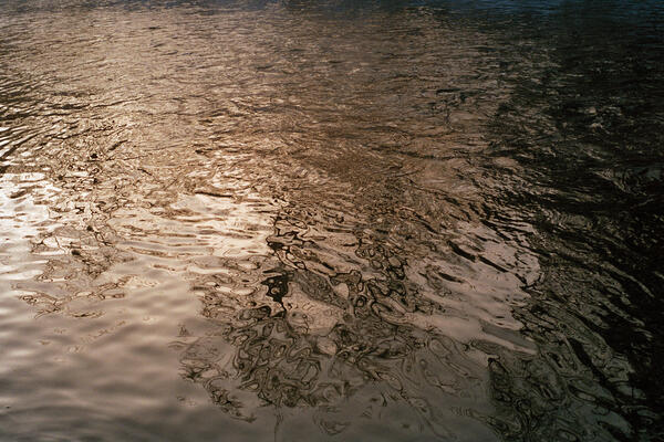 Elbow River (Stanley Park), Calgary, 2022