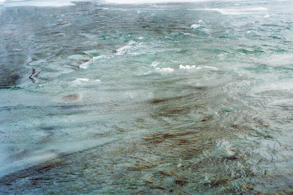 Elbow River (Riverdale), Calgary, 2023