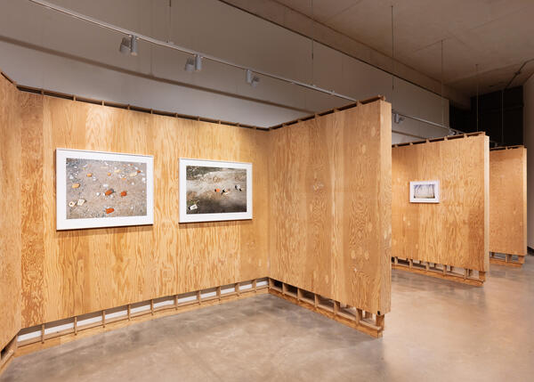 OUTER CIRCLE ROAD, DANIELS BUILDING OF ARCHITECTURE, 2024