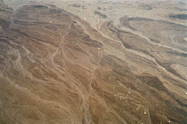 Water Lapping, New Brunswick, 2016